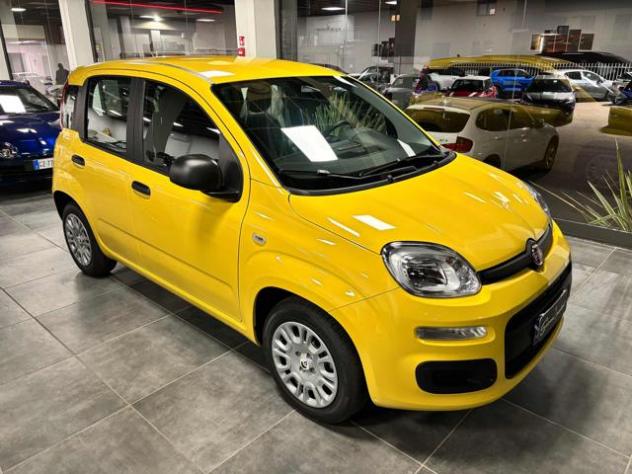 FIAT Panda 1.0 FireFly S&S Hybrid Pop - KM 0 - PREZZO PROMO rif. 22978989 - Foto 2