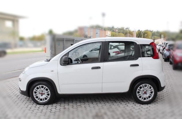 FIAT Panda 3ª serie Panda 1.0 FireFly S&S Hybrid - Foto 4