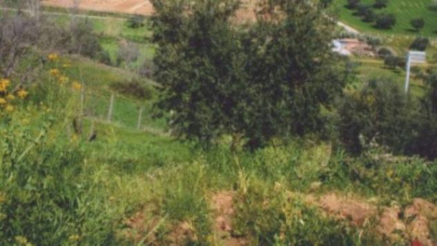 Immobile in asta di 2000 m² in vendita a Roggiano Gravina - Foto 5