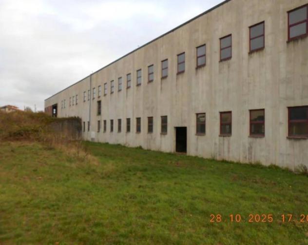 Immobile in asta di 5721 m² in vendita a Soveria Mannelli - Foto 3
