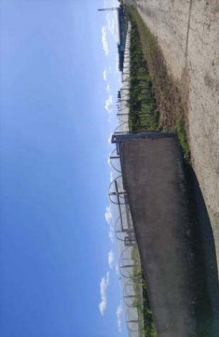 Immobile in asta di 100 m² in vendita a Licodia Eubea - Foto 7