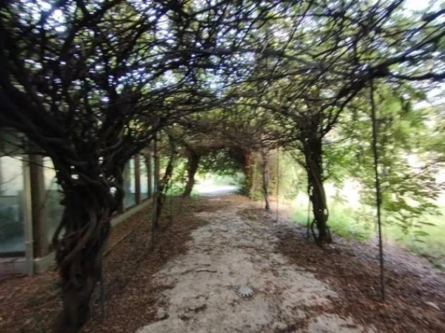Immobile in asta di 900 m² con più di 5 locali in vendita a Rimini - Foto 7