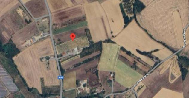 Immobile in asta di 2310 m² in vendita a Felizzano - Foto 3