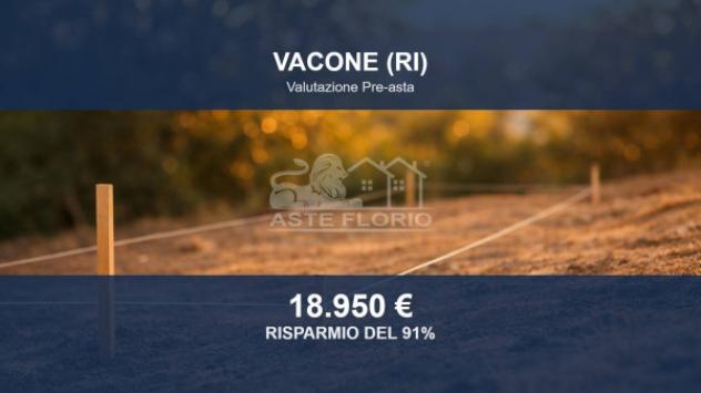 Immobile in asta di 11580 m² in vendita a Vacone