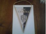 GAGLIARDETTO A.C.CESENA