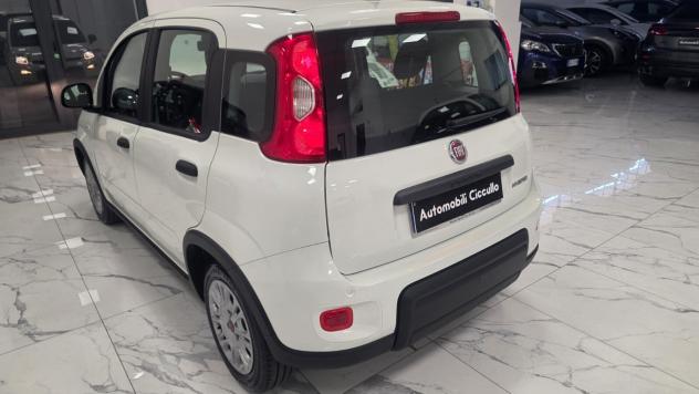 Fiat Panda 1.0 FireFly S&S Hybrid - Foto 8