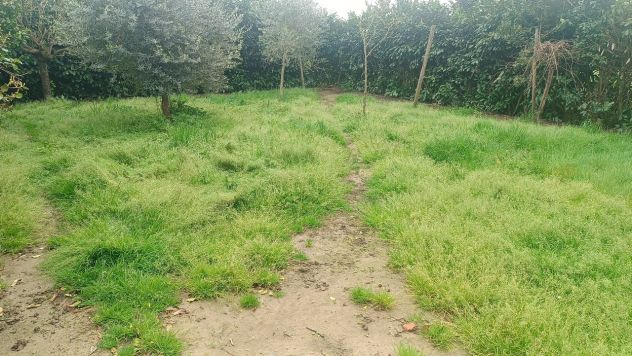 PISTOIA Bonelle : porzione semi-indipendente di colonica con giardino