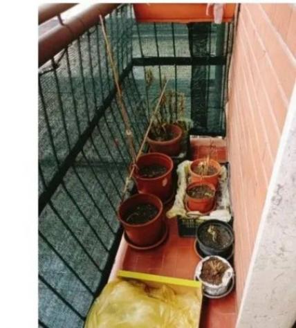 Immobile in asta di 75 m² in vendita a Varese - Foto 11
