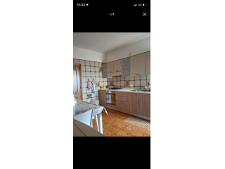Camere affitto solo studentesse