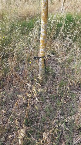 Agricolo in vendita a Noto - Foto 18