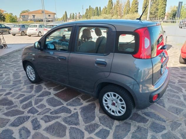 Fiat Panda 1.0 FireFly S&S Hybrid Easy - Foto 7
