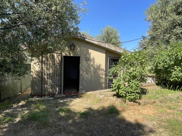 Uliveto in vendita a Casale Marittimo - Foto 11