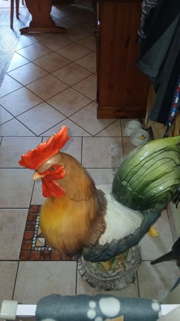 GALLO PORCELLANA - Foto 3