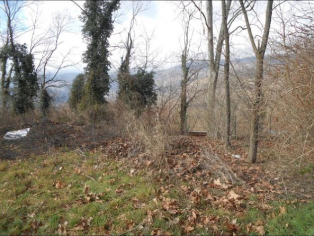 Immobile in asta di 13290 m² in vendita a Aviano - Foto 3
