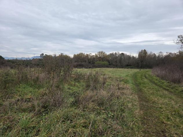 Terreno agricolo in vendita a Orentano - Castelfranco di Sotto 5000 mq Rif: 1383545