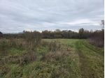 Terreno agricolo in vendita a Orentano - Castelfranco di Sotto 5000 mq  Rif &hellip;