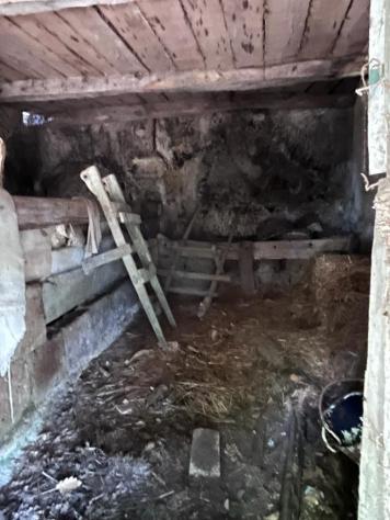 Nel comune di Sorano e precisamente nella frazione di San Giovanni delle Contee che dispone di servizi di prima necessità e dista circa 14 km da Soran - Foto 7