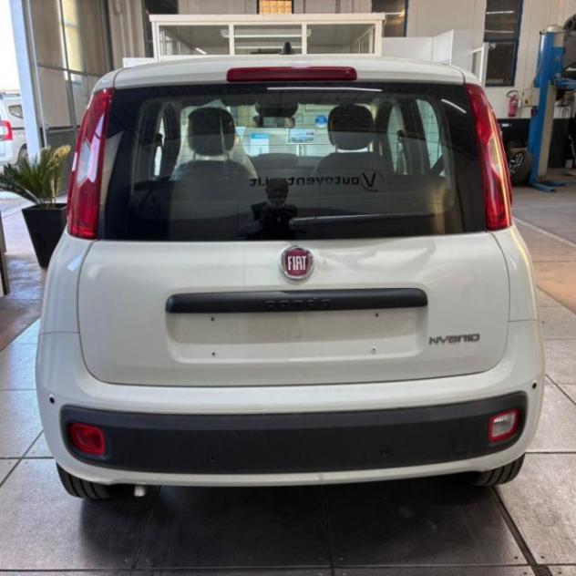FIAT Pandina 1.0 FireFly 65 CV Hybrid Pop rif. 23614024 - Foto 3