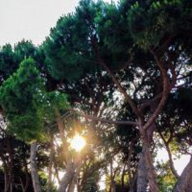 Bottino Appartamenti Vacanze