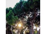 Bottino Appartamenti Vacanze
