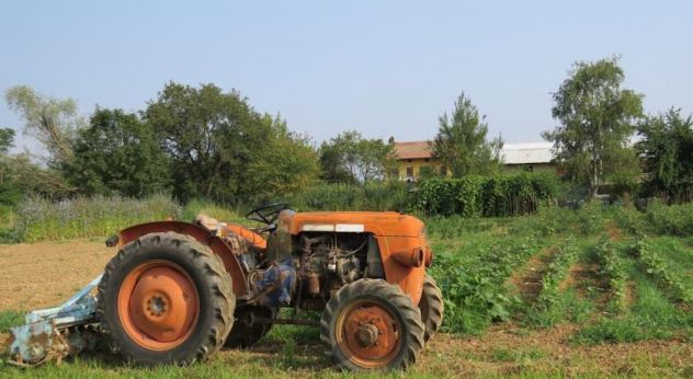 Agriturismo in provincia di Biella - Foto 6