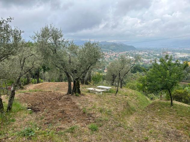 Agricolo in vendita a Arcola - Foto 11