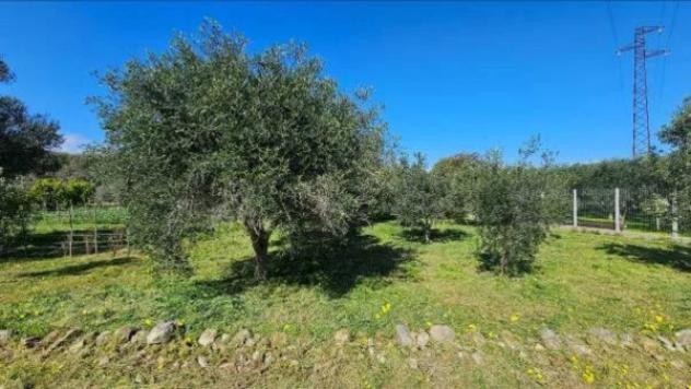 Immobile in asta di 2216 m² in vendita a Portigliola - Foto 3