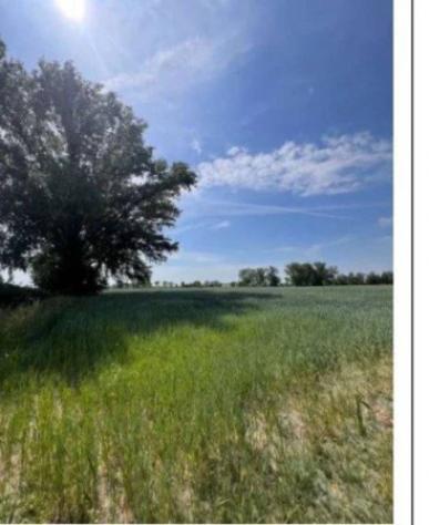 Immobile in asta di 9590 m² in vendita a Remedello - Foto 6