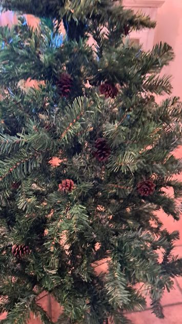 Albero di Natale Abete Dakota cm 180 o cm 220 - Foto 7