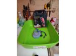 Accessori per Cane