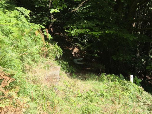 Singola in vendita a Intragna - Foto 7