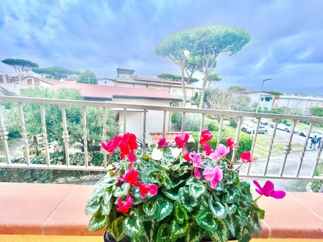 Quadrilocale in vendita a Pietrasanta - Foto 11