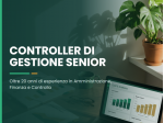 CONTROLLER DI GESTIONE SENIOR