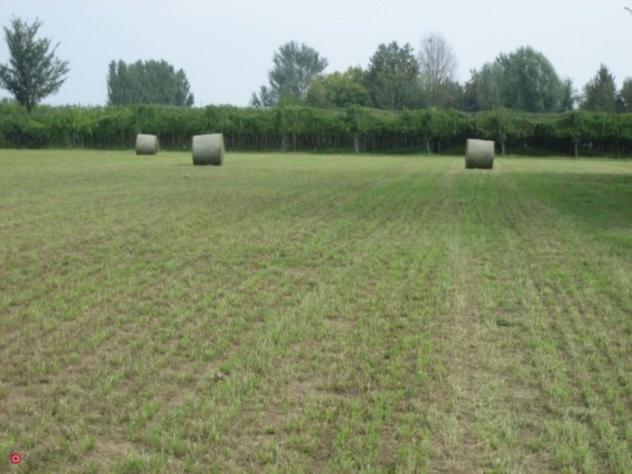 Terreno agricolo in Vendita in Via Carpi Ravarino 619 a Soliera - Foto 3