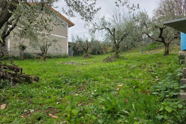 Terreno di 6110 m² in vendita a Velletri