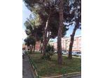 Appartamento in vendita a Livorno 106 mq  Rif: 1417799