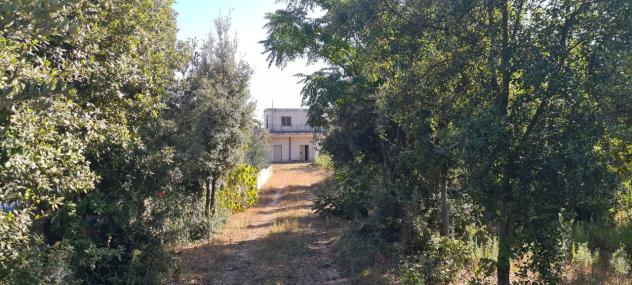Villa in vendita a Martina Franca - Foto 6