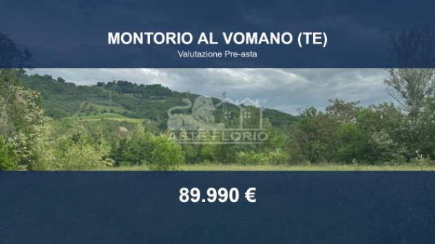 Immobile in asta di 8760 m² in vendita a Montorio al Vomano