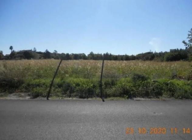 Immobile in asta di 20557 m² in vendita a Simeri Crichi - Foto 2