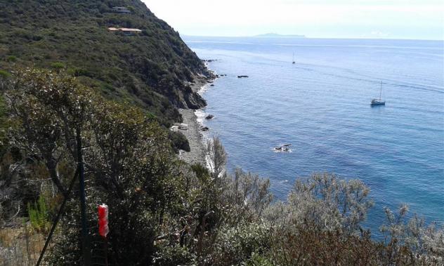 Villa in Vendita in zona PUNTA ALA con giardino - Foto 9