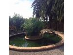 Le Palme Bed And Breakfast