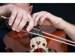 Violoncellista