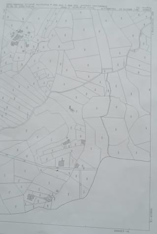 Vigneto in vendita a Reggio di Calabria