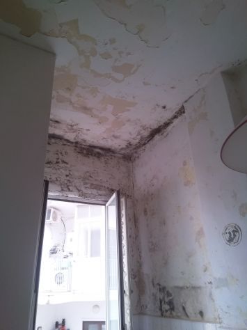 Imbianchino/pittore/muratore - Foto 2