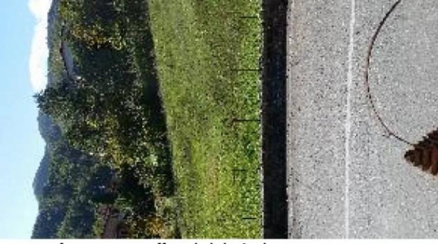 Immobile in asta di 225 m² con più di 5 locali in vendita a Firenzuola - Foto 17