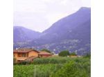 S. Filis Hotel S.r.l.