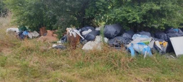 Immobile in asta di 17151 m² in vendita a Siena - Foto 7