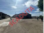 Immobile in asta di 696 m² con più di 5 locali in vendita a Torgiano