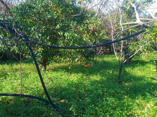 Terreno in vendita a Giarre