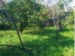Terreno in vendita a Giarre